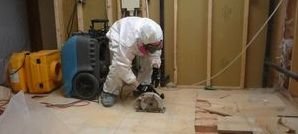 911 Restoration Water Damage Rockland