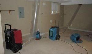 911 Restoration Mold Removal Rockland